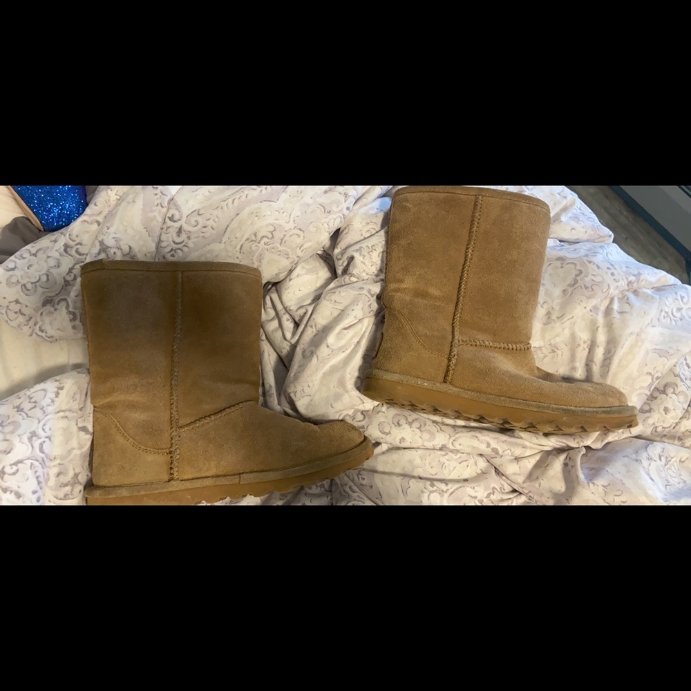 Tan bear paws